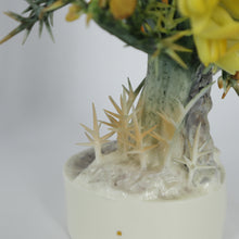 Load image into Gallery viewer, D. Doughty’s British Bird Series