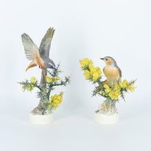 Load image into Gallery viewer, Porcelain Bird Figurine by Dorothy Doughty and Royal Worcester