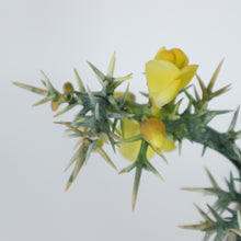 Load image into Gallery viewer, A pair of colorful Bird Figurine