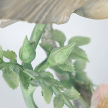 Load image into Gallery viewer, D. Doughty’s British Bird Series