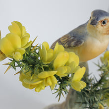 Load image into Gallery viewer, Vintage bird figurine