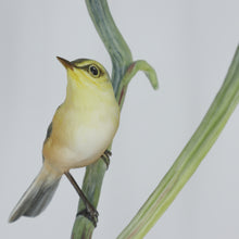 将图片加载到图库查看器,Vintage bird figurine