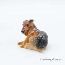 Load image into Gallery viewer, K5 Airedale Terrier - Vintage Porcelain Figurine by Royal Doulton, circa 1950 (Item# P-2577)-Timeless Gallery