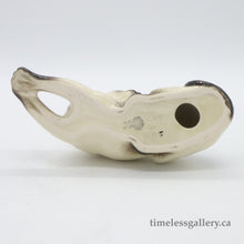 将图片加载到图库查看器，#1558 Siamese Cat - Vintage Porcelain Figurine by Royal Doulton, before 1990 (Item# P-4352)-Timeless Gallery
