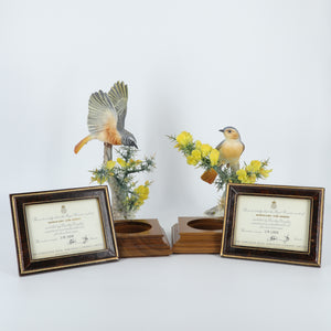 Redstarts and Gorse Porcelain Bird Figurine