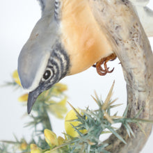 Load image into Gallery viewer, Porcelain Bird Figurine by Dorothy Doughty and Royal Worcester
