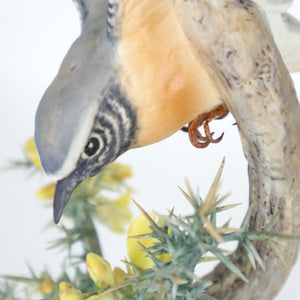 Porcelain Bird Figurine by Dorothy Doughty and Royal Worcester