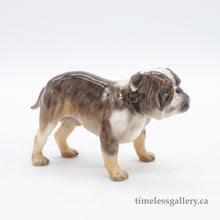 Load image into Gallery viewer, HN1047 Bulldog - Vintage Porcelain Figurine by Royal Doulton, circa 1970 (Item# P-4161)-Timeless Gallery
