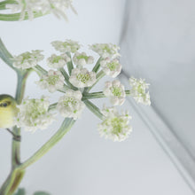 Load image into Gallery viewer, Porcelain Bird Figurine by Dorothy Doughty and Royal Worcester
